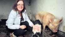 How Margaret's farm animals are tickled pink